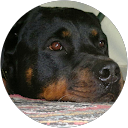 epoca553 enzo profile picture